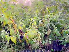 indiano desi fidanzata avendo sesso in jungle