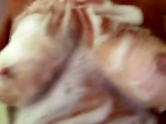 GF soapy Titties loop it