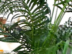 Busty babe masturbates with a toy at job angelica kitten feet porn and plays with a big dick