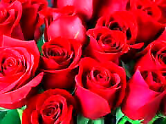 Bangla choti golpo beautiful hot mature sexy nazma Hard fuck by gangbang