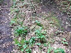 fessée ses gros seins dans les bois