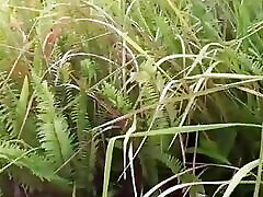 Massage Sex at Resort, Outdoor Fucking