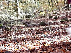 mamie du chaperon rouge a un gode pour elle