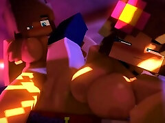 minecraft jenny HMV