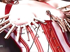 domina & 039;s giorno sogno dvd