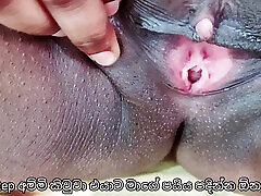 Sinhala Stepmom and her Stepson Sharing likes 02 on Vacation