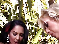 Lesbian orgy with Tera Patrick, Brianna Banks, Lanny Barbie and more