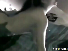 cornuto archive-la più grande collezione di video di amateury webphone creamy videos