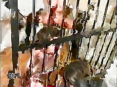 BDSM domination sex game