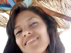 ساحل