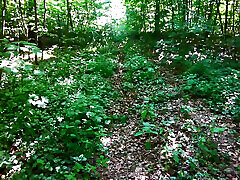 seins cogner dans les bois
