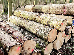 gifles de chatte avec dem lineal im wald
