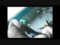 BBC Compilation
