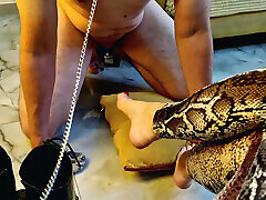 Fetish of legs and princess jersey joi after boots. Dominatrix allowed big pitp to take off her boots, to sniff her sweaty socks, to kiss her feet