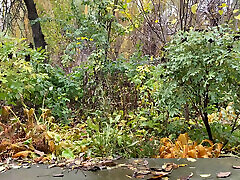 A warm fountain from my stepmother&039;s pussy