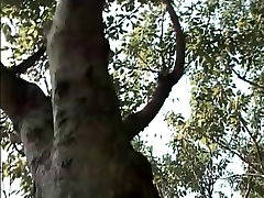 Asian Qianzhen Wan Bird Series-06
