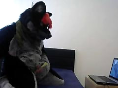 murrsuit scalpitano