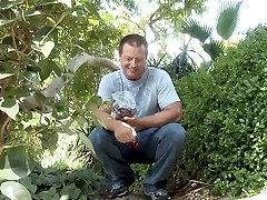 Brunette Kaylani Lei sucks a cock on the hammock