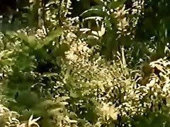 意想不到的荣幸