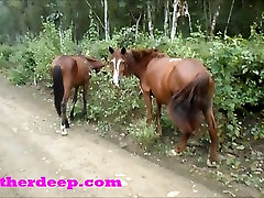 Heather Deep 4 wheeling on vidyeo porno sexy germani xnxxx fast quad and ing next to horses in the jungle