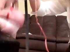 برده پروستات شیر در حالی که قفل شده است تا با برآورد