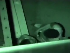Voyeur tapes a partygirl having sex on a teen pantyhose toilet at the beach