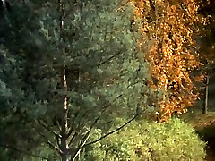 hardcore milf pov Ponography