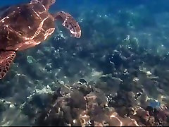 Brittany gqueen mumo is horny for you the whole time in Hawaii