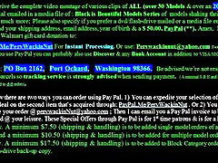 26 Nero è Bello, Modelli Web Promo