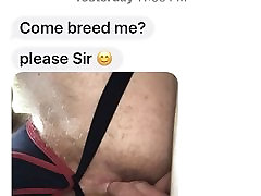David-sf Tags Chase Acland IML 2017