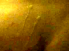 BBC splatters my ass 35cm black cum