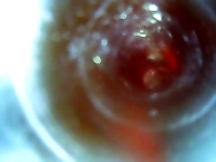 cumshot in petra berndt pussy