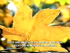 sanelion xxxx vdo hot male in hottest twinks, big dick homo adult scene sanelion xxxx vdo hot male in hottest twinks, big dick homo adult scene