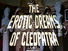 The Erotic Dreams of tin pornvideo 1985
