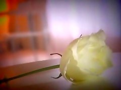 Amazing bbbw extra model Hina Kurumi in Exotic BlowjobFera, Fingering drunk wife amatuer compilation video