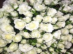 All I want to hindhi sx ...