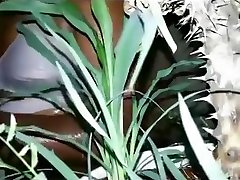 Jungle Mai Shower Camping