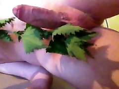 First time with nettles