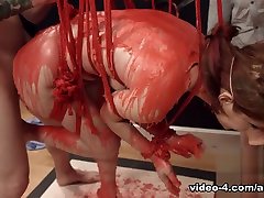 Calico in Calipig 2 - Assylum