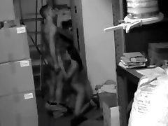 cámara segura y compañeros traviesos