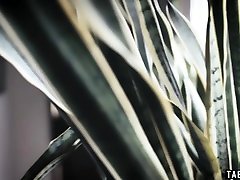Stepsiter fucks her new saxe video hd video porn stepbrother