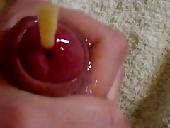 Uretral figging masturbation and quick release
