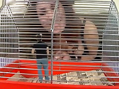 Giantess Cat and Mouse