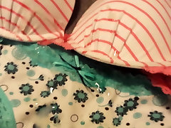 cum on NOT my cousins bra and panties