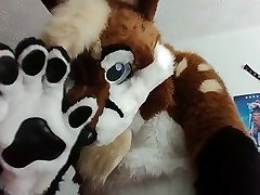 zampa di bunnyfox