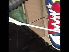lana rhidas x7486 edging bound with electro