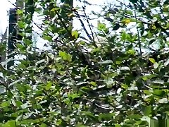 Public move duload Pussy 3