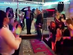 Flirty Chicks Get Entirely Insane And Stripped At Hardcore P