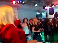 Flirty Kittens Get Totally Wild And Stripped At Hardcore Par