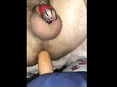 247 sanney lione saxxnxx husband gets nightly strapon fuck